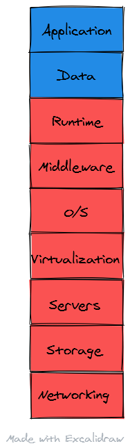 PaaS Provider Services